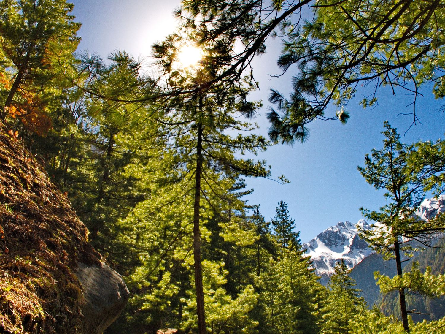Трек вокруг Аннапурны + оз. Тиличо (8/153)