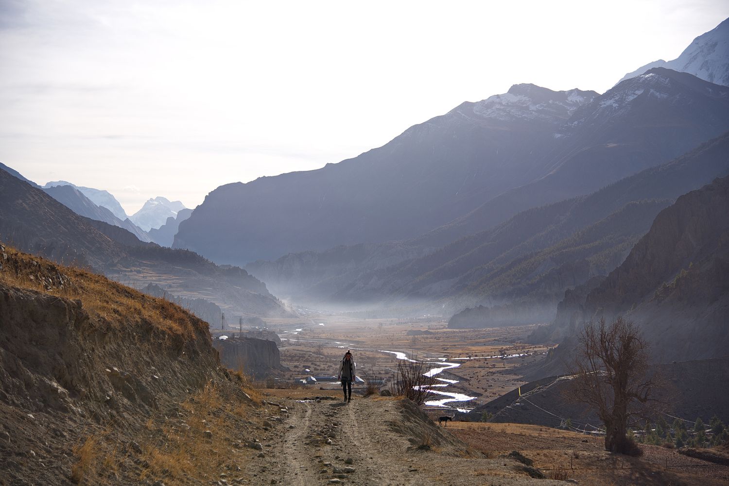 Трек вокруг Аннапурны + оз. Тиличо (64/153)