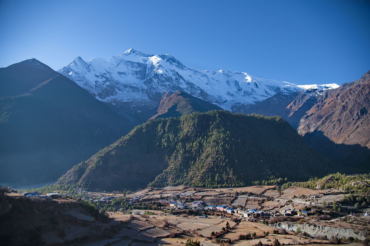 Трек вокруг Аннапурны + оз. Тиличо (29/153)