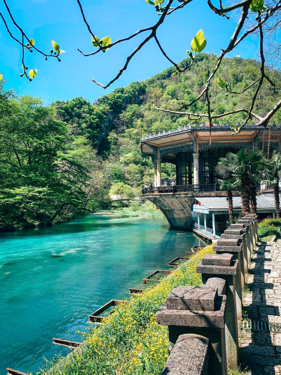 Вай! Лучшая Абхазия за 2 дня: увидеть максимум и отдохнуть (73/89)