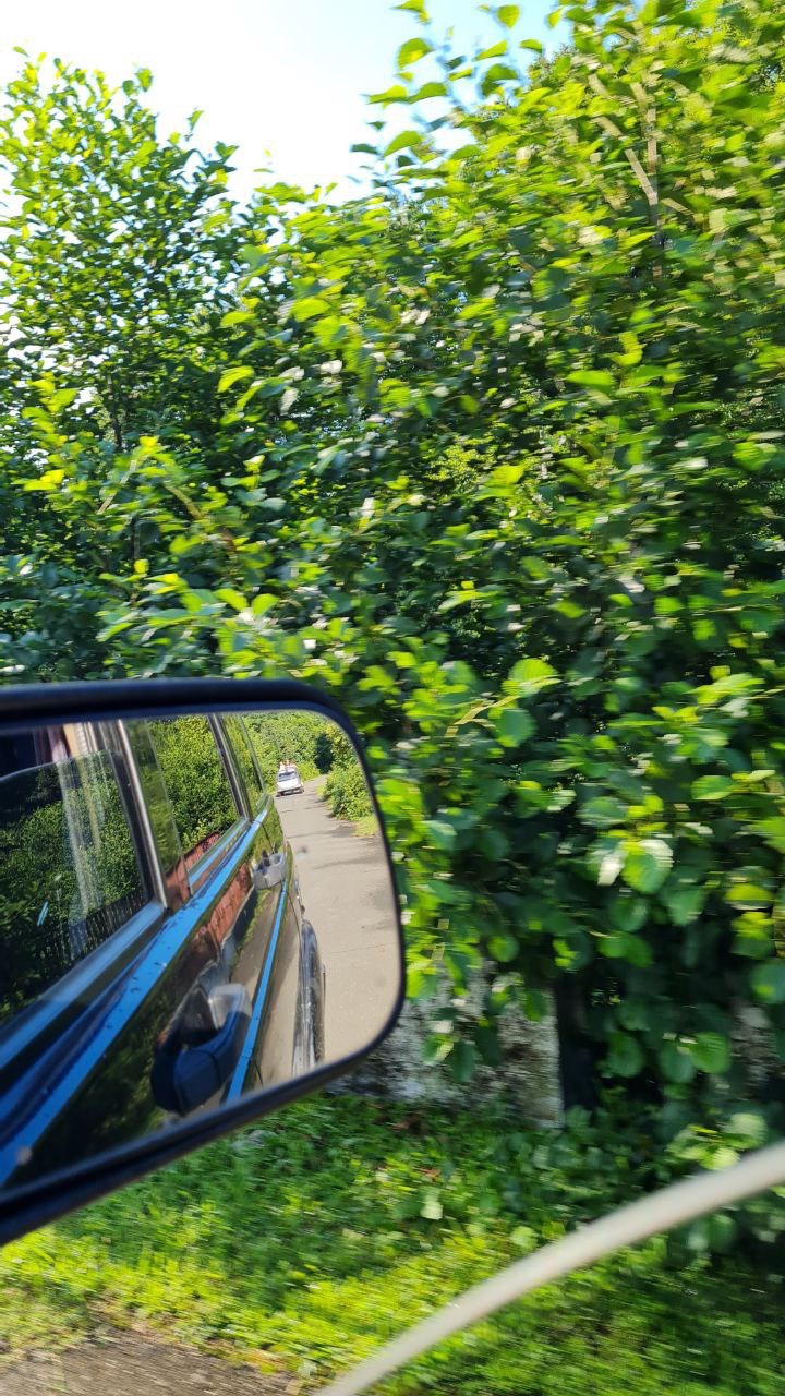 Вай! Лучшая Абхазия за 2 дня: увидеть максимум и отдохнуть (42/89)