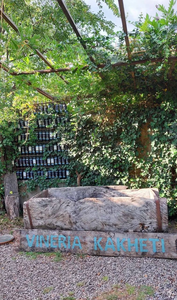 Вах!Тот самый тур по-грузински:Тбилиси+Боржоми+Кахетия+Казбеги.Встреча во Владикавк. (54/91)