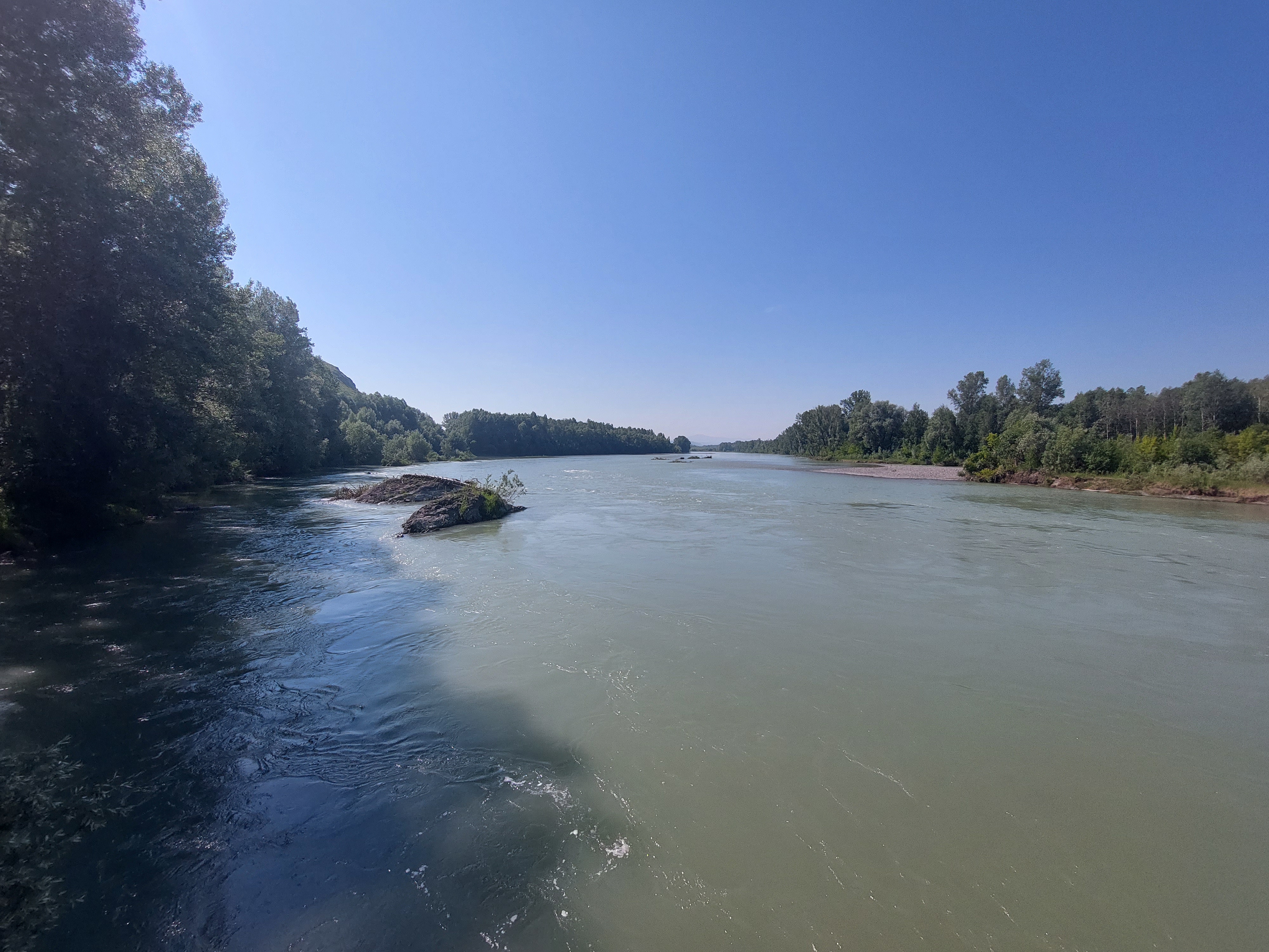 Цветение маральника. Автотур по Чуйскому тракту (19/28)