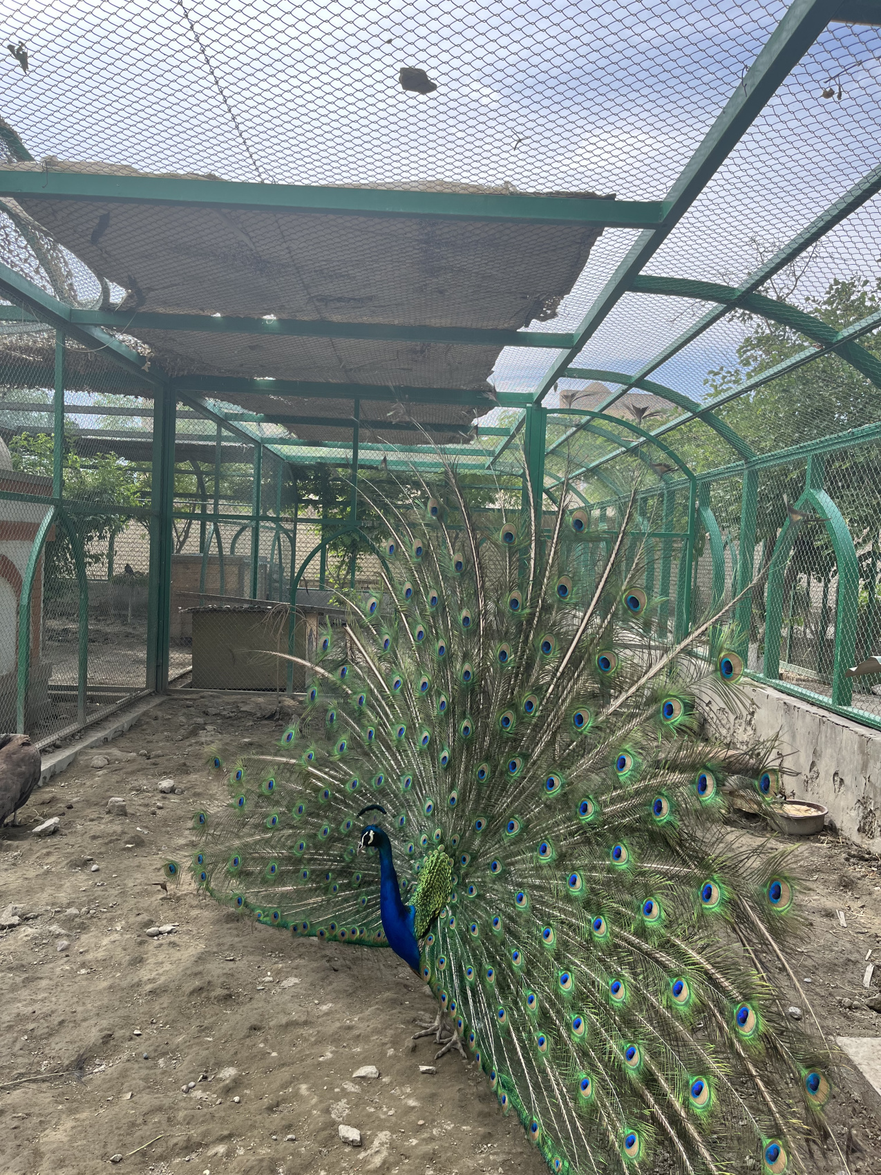 Узбекистан, увидеть всё Лучшее (20/73)