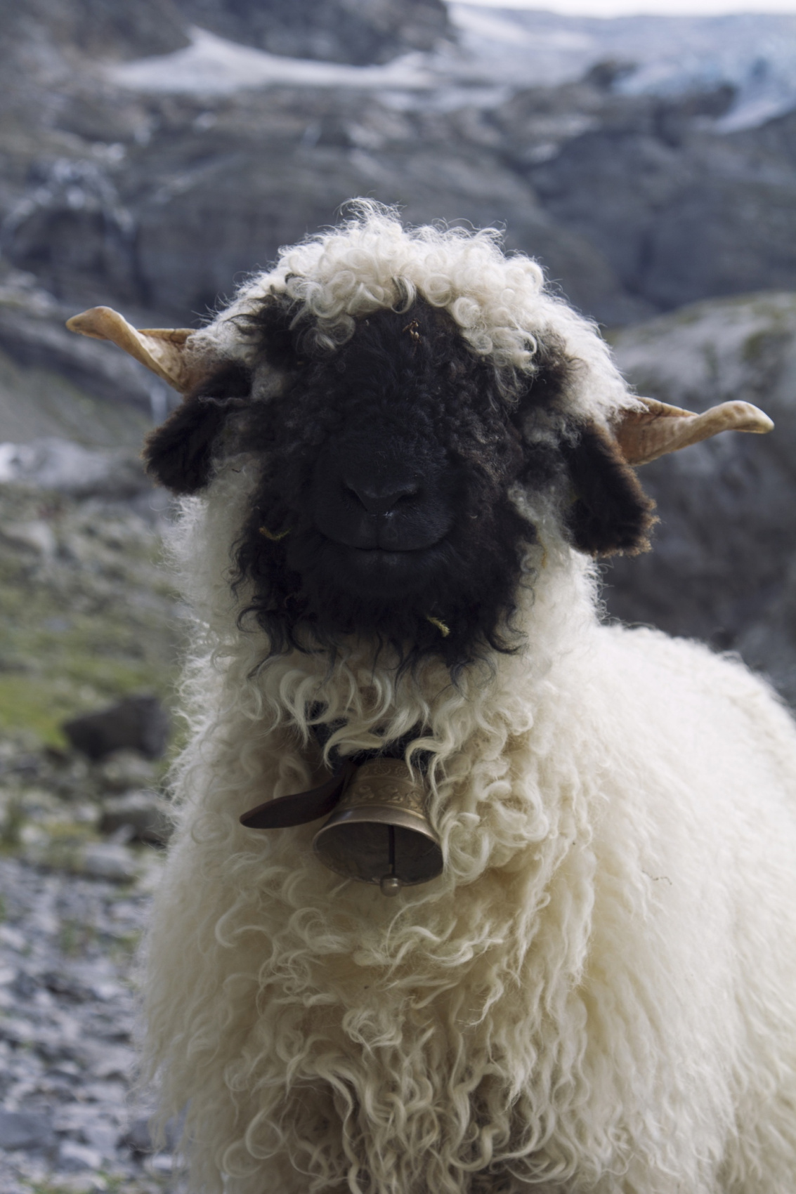 Швейцария - Самые Красивые Места С Легким Хайкингом (3/16)