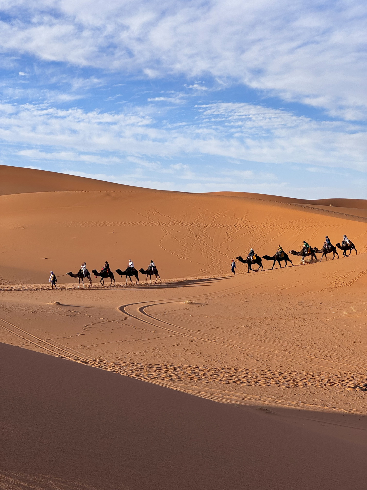 Марокко с душой. 2 ночи в Сахаре и калейдоскоп древних городов, высокий комфорт! (41/93)