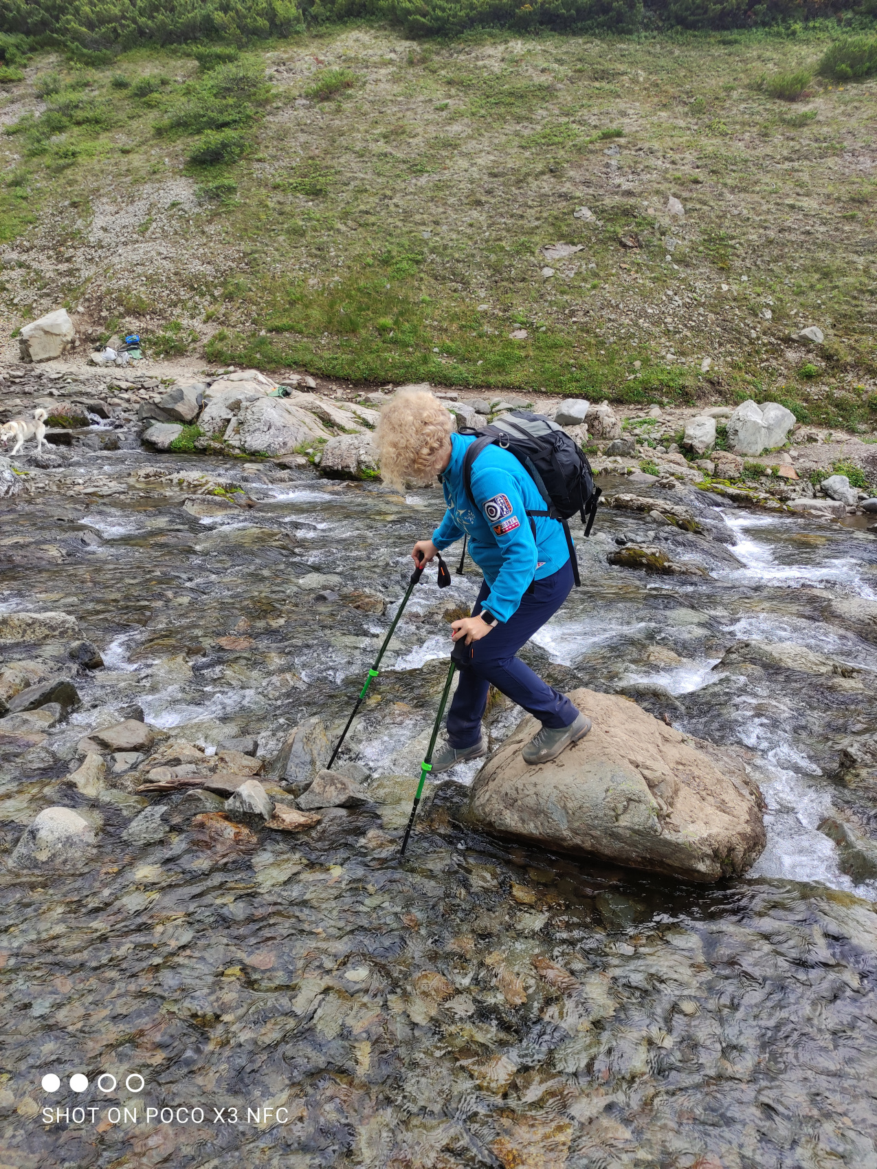 Камчатка за неделю (11/50)