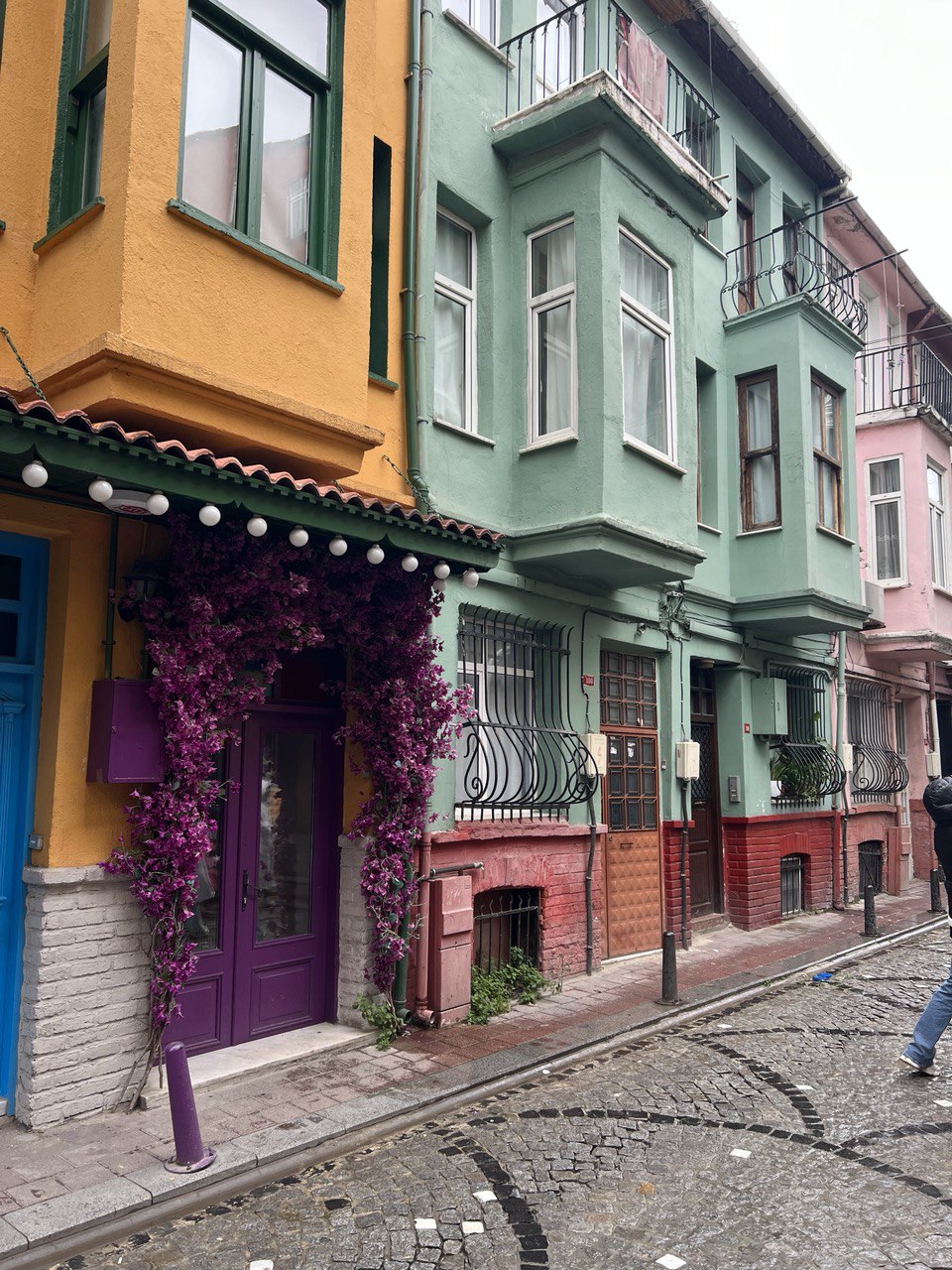 В плену тюльпанов Стамбула+яхта+принцевы острова (15/22)