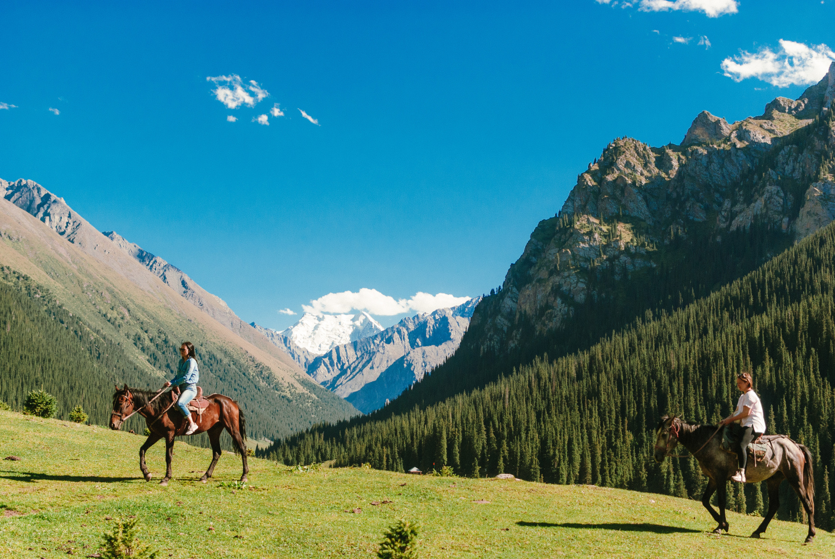 Маки Кыргызстана! Красивый тур весны. (26/64)
