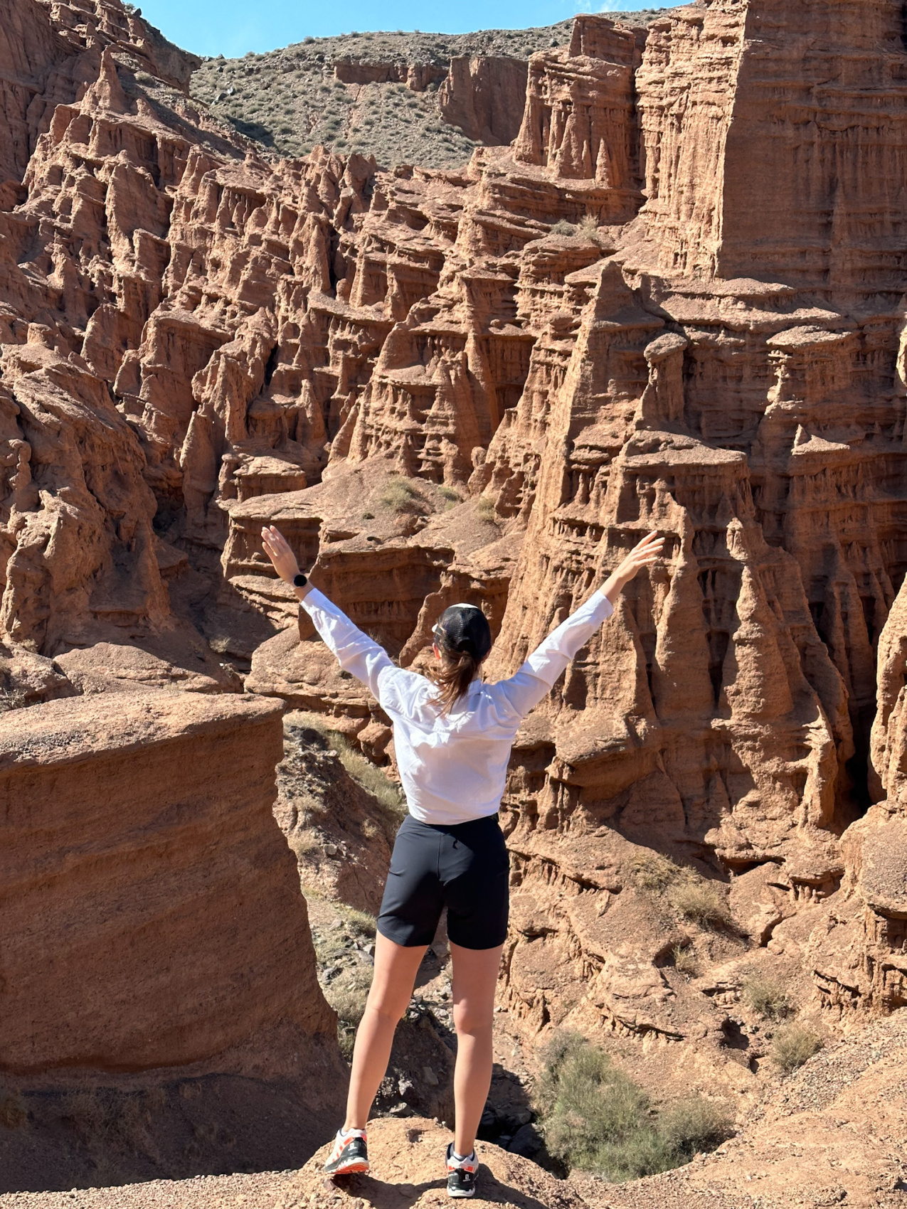 Маки Кыргызстана! Красивый тур весны. (8/64)