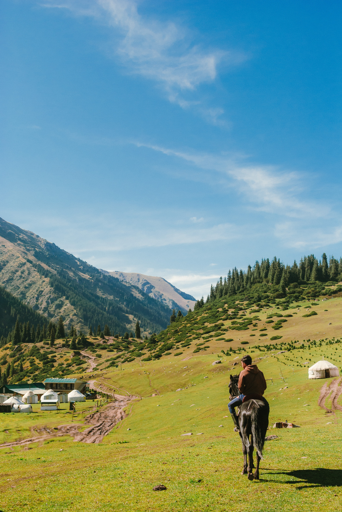 Маки Кыргызстана! Красивый тур весны. (24/64)