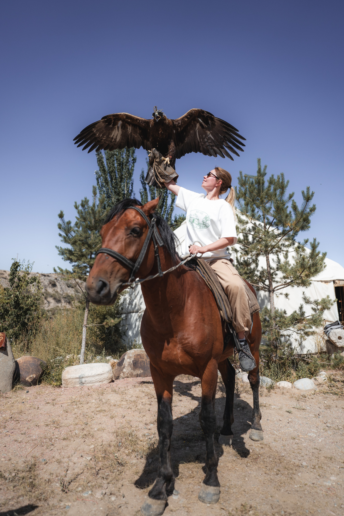 Маки Кыргызстана! Красивый тур весны. (31/64)