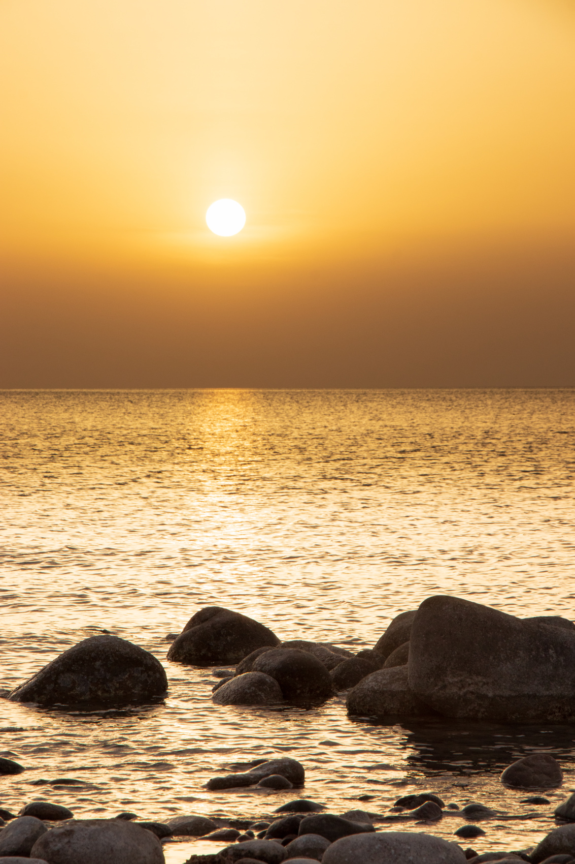 Маки Кыргызстана! Красивый тур весны. (29/64)