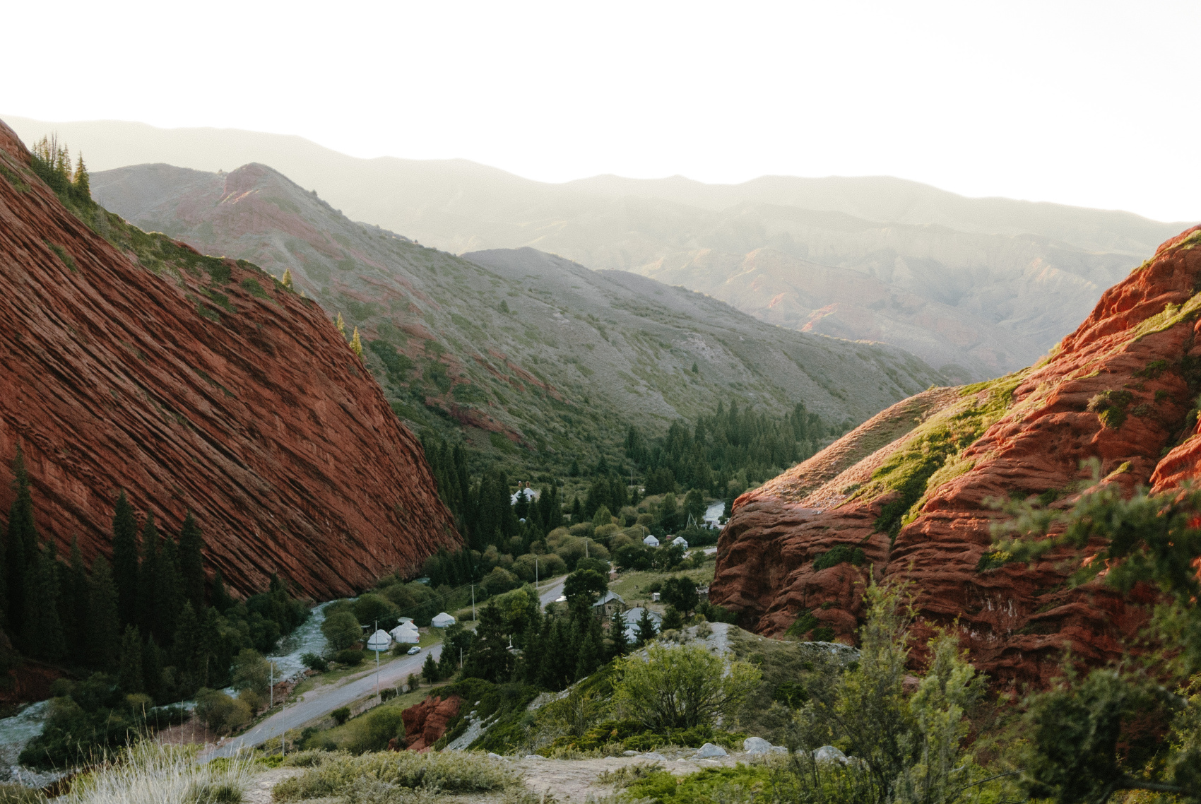 Маки Кыргызстана! Красивый тур весны. (21/64)