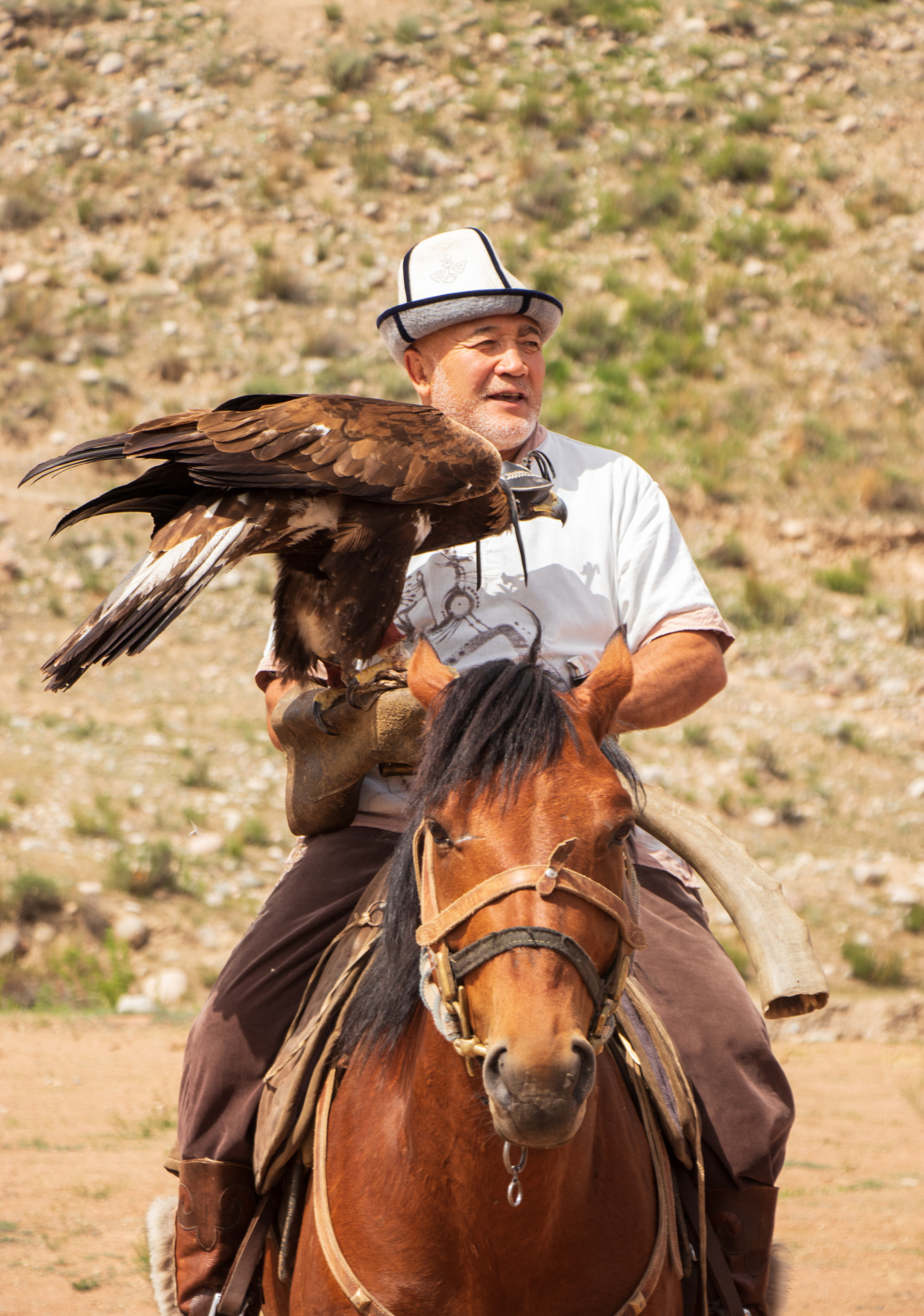 Маки Кыргызстана! Красивый тур весны. (27/64)