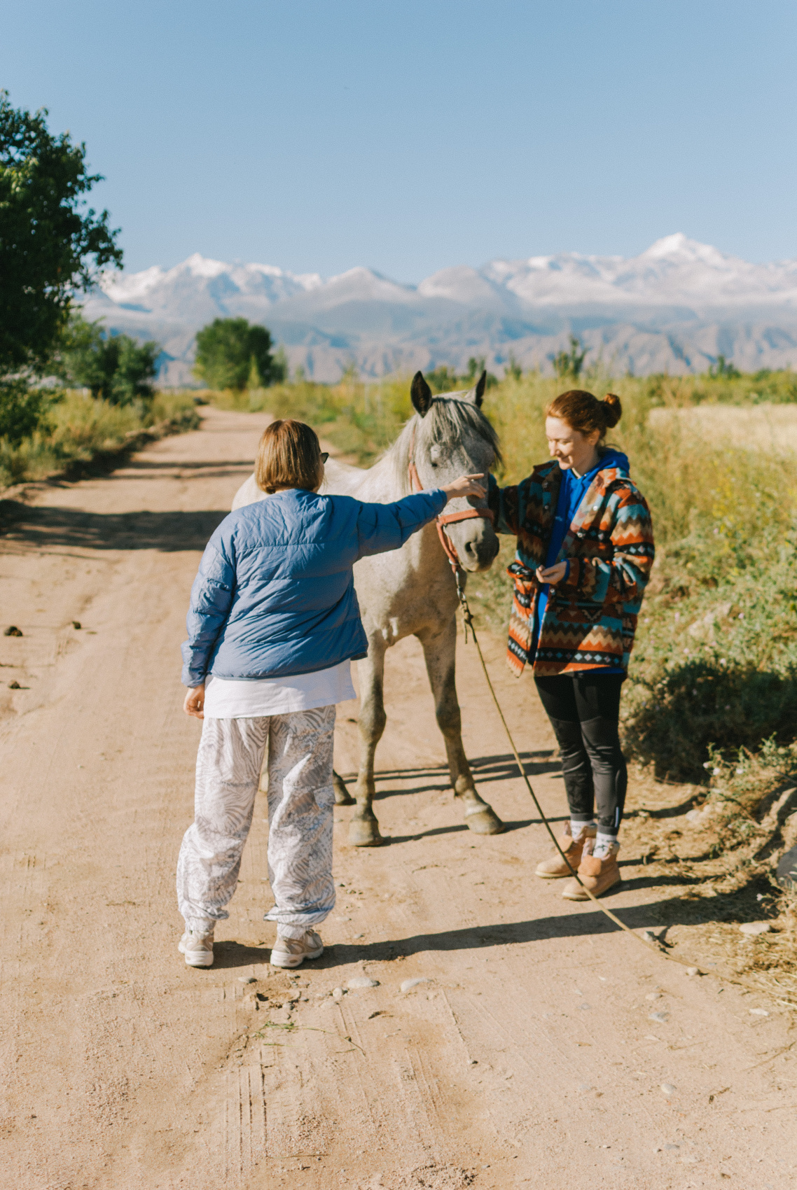 Маки Кыргызстана! Красивый тур весны. (19/64)