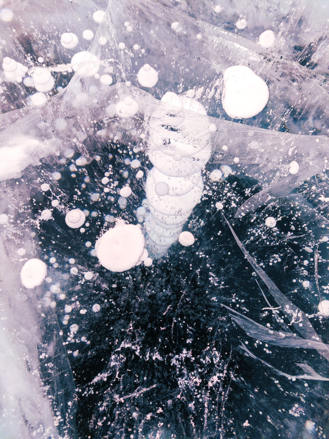 Одиссея от Байкала до Аршана (44/103)