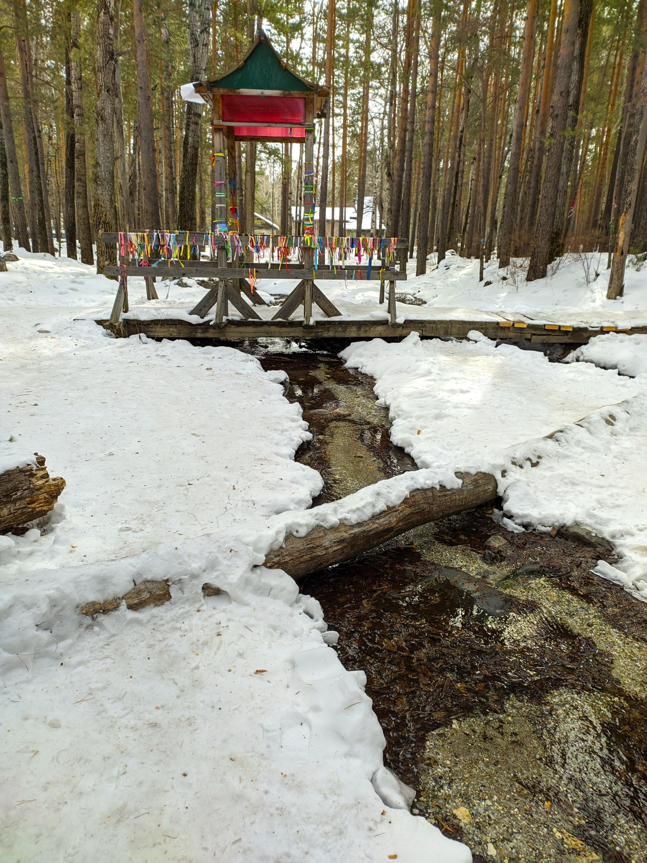 Одиссея от Байкала до Аршана (52/103)