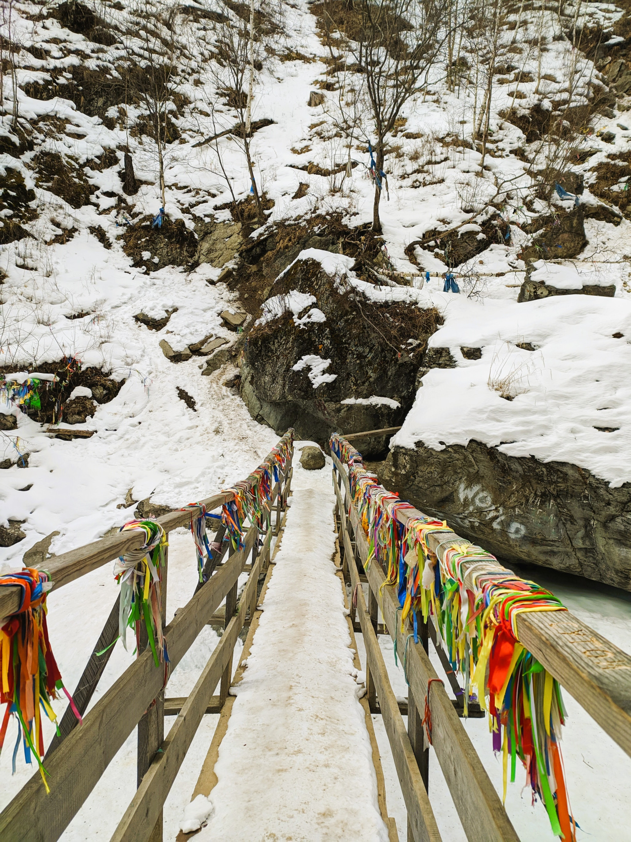 Одиссея от Байкала до Аршана (54/103)