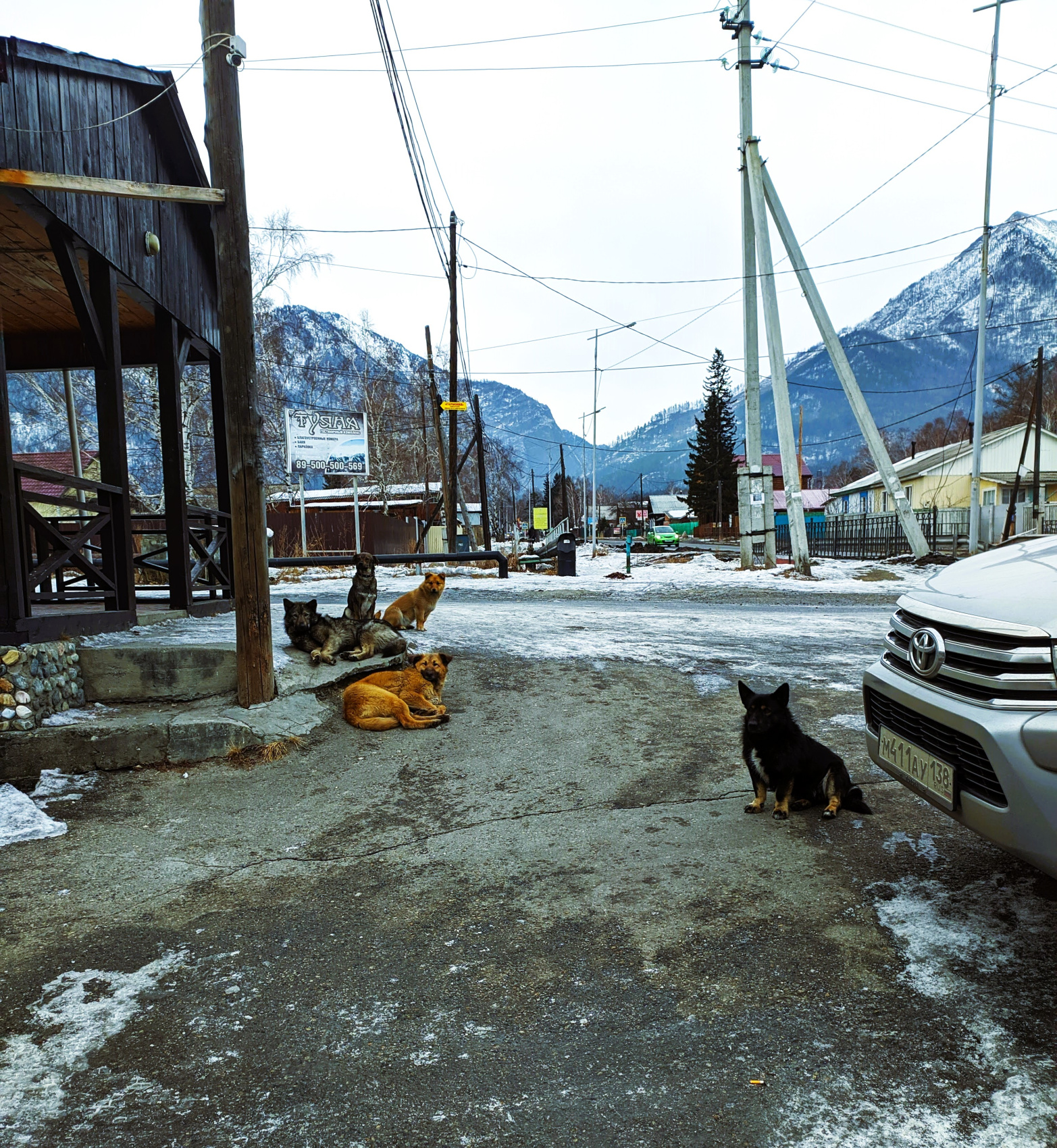 Одиссея от Байкала до Аршана (50/103)