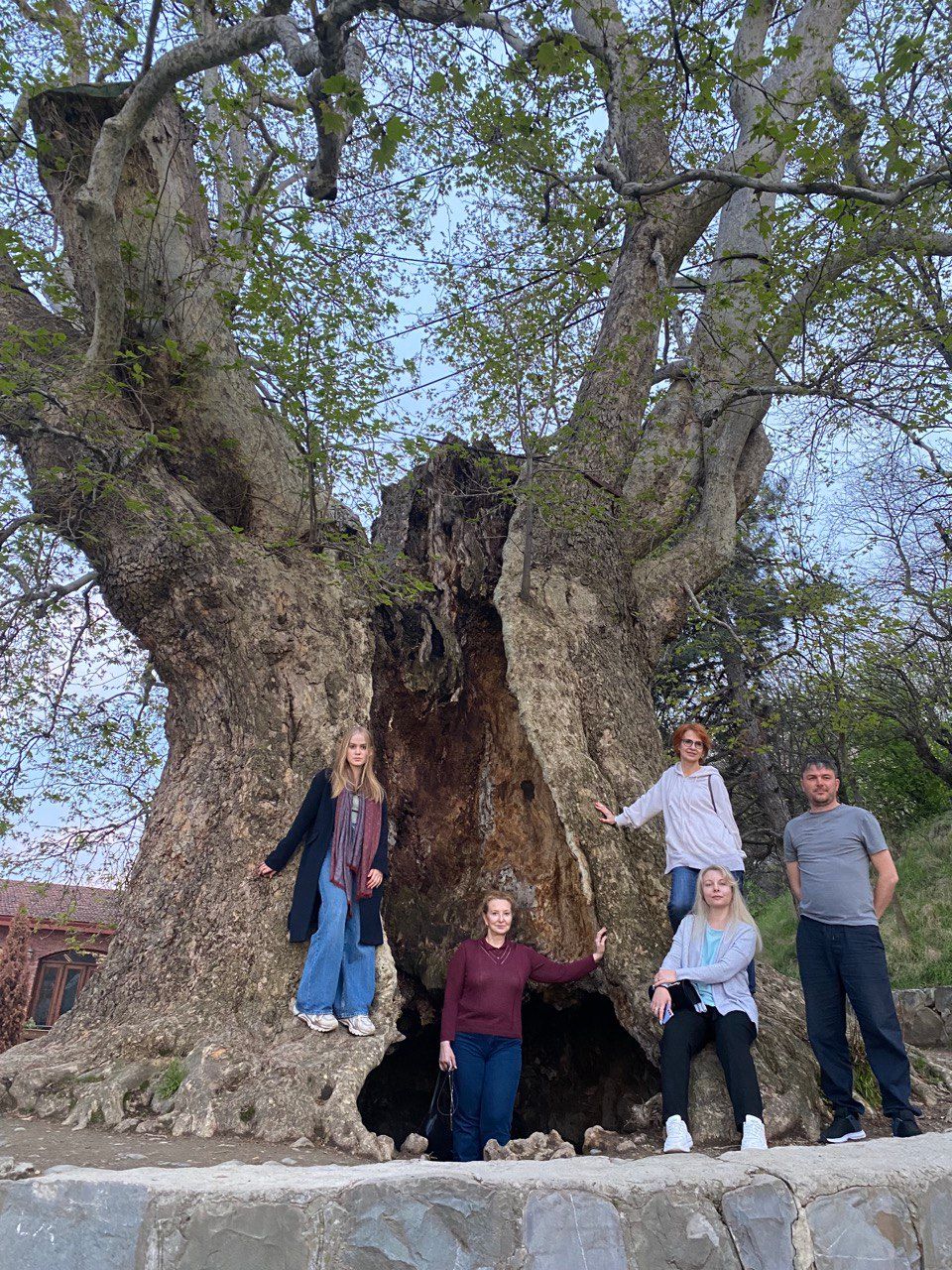 Грузия из Владикавказа: от Казбеги до Уплисцихе. Лайт. (23/302)