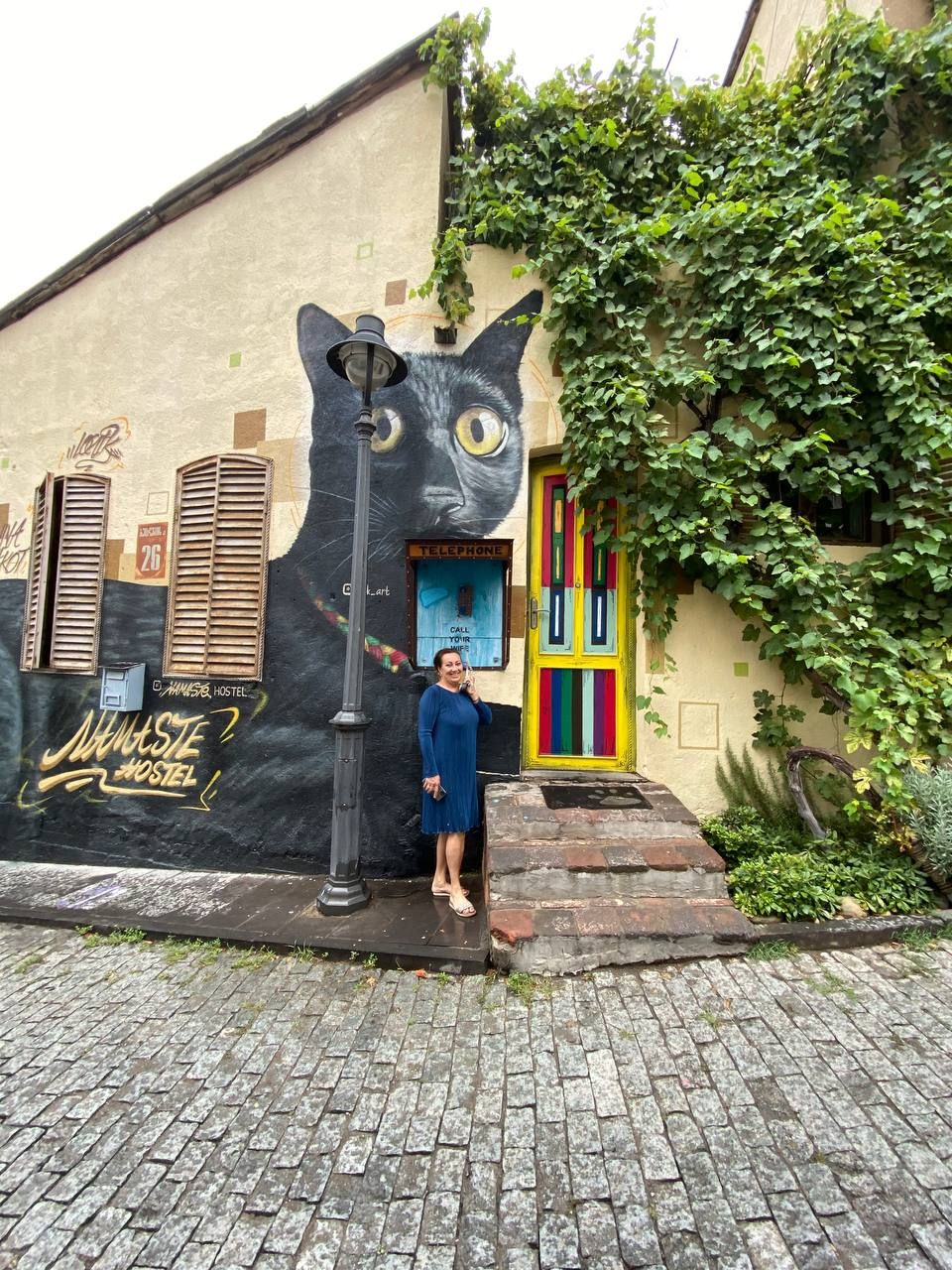 Грузия из Владикавказа: от Казбеги до Уплисцихе. Лайт. (129/302)