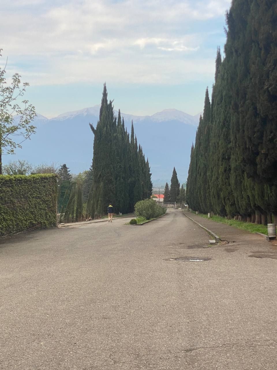 Грузия из Владикавказа: от Казбеги до Уплисцихе. Лайт. (31/302)