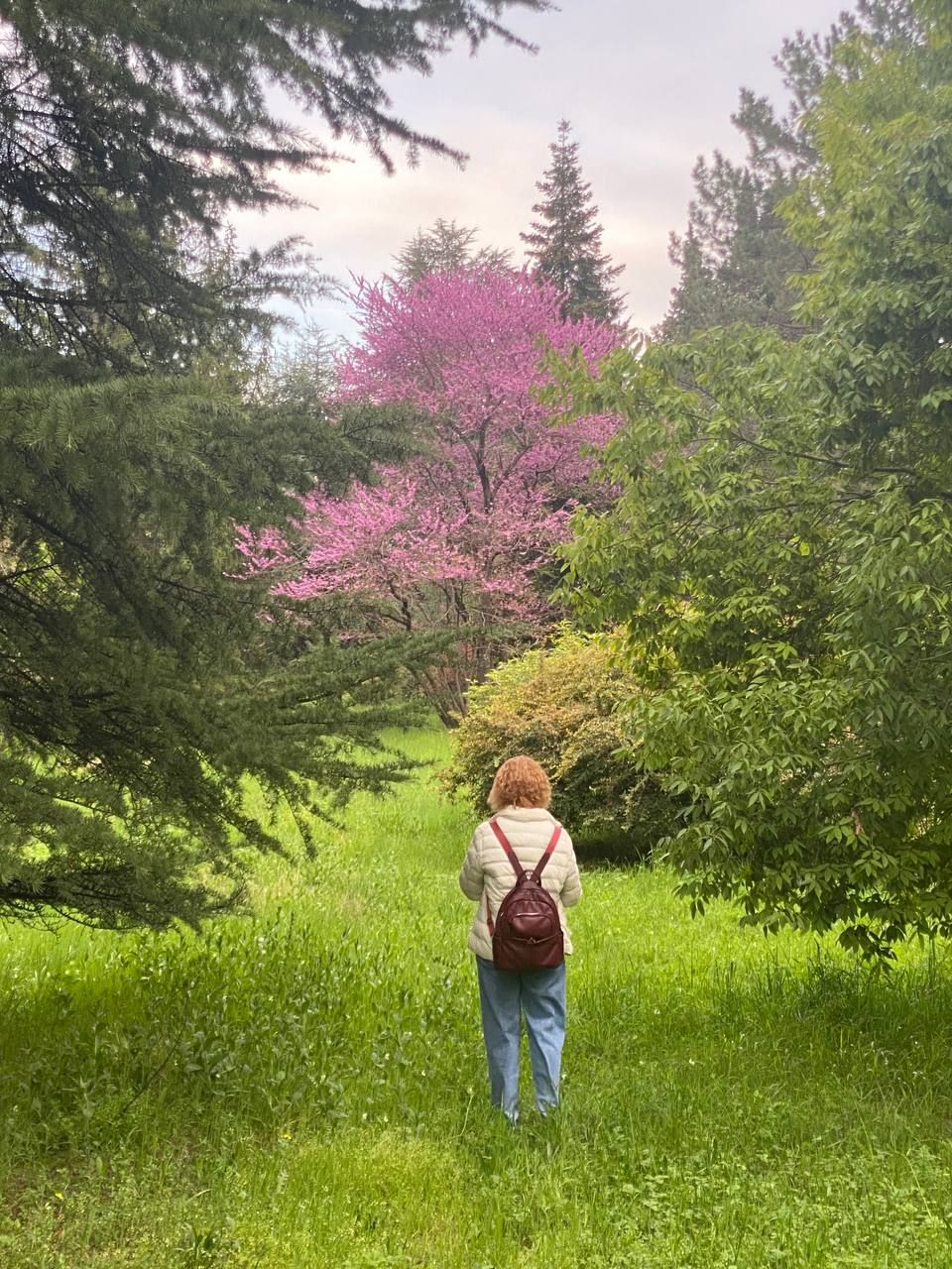 Грузия из Владикавказа: от Казбеги до Уплисцихе. Лайт. (30/302)