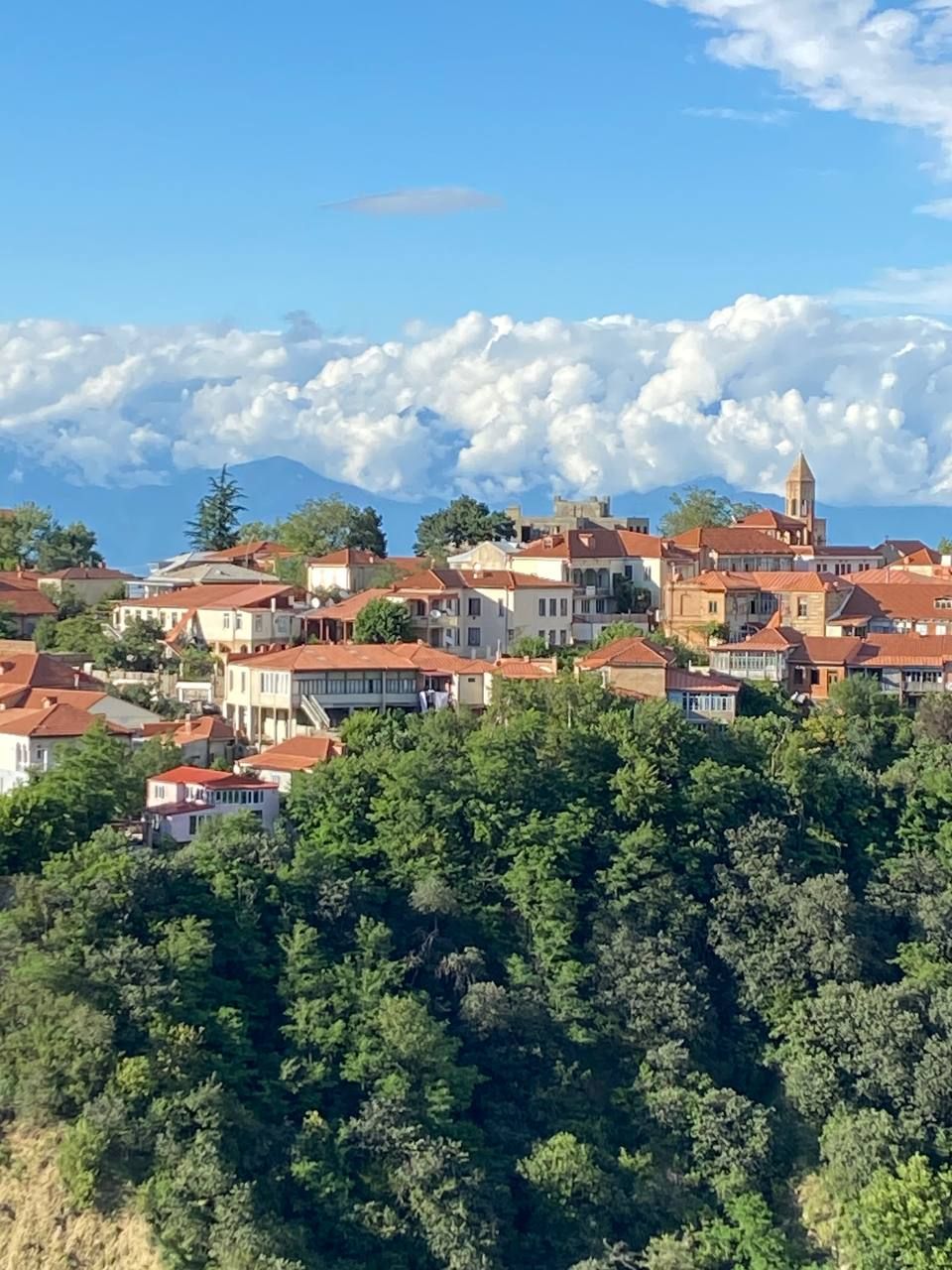 Грузия из Владикавказа: от Казбеги до Уплисцихе. Лайт. (135/302)