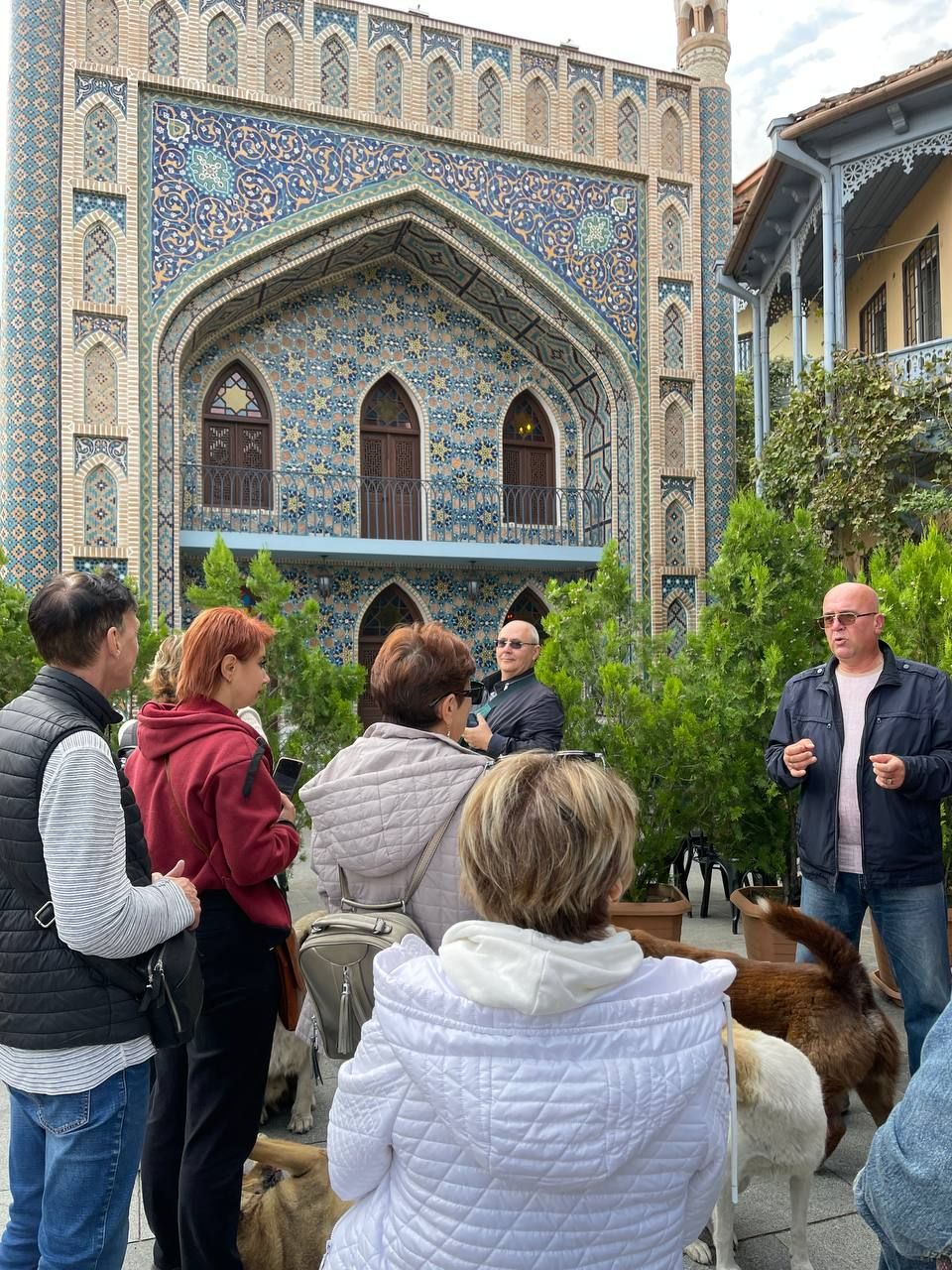 Грузия из Владикавказа: от Казбеги до Уплисцихе. Лайт. (280/302)