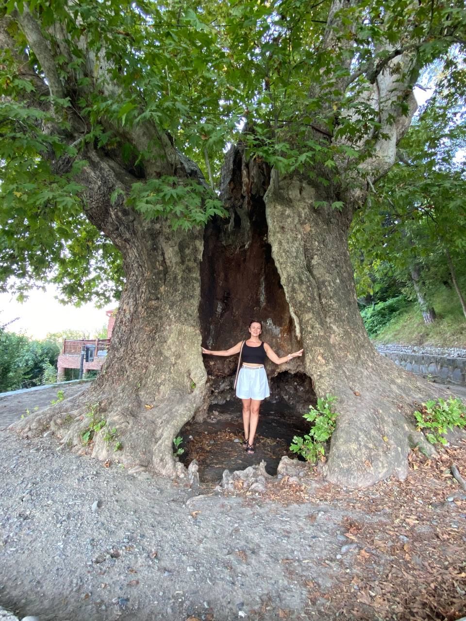 Грузия из Владикавказа: от Казбеги до Уплисцихе. Лайт. (139/302)