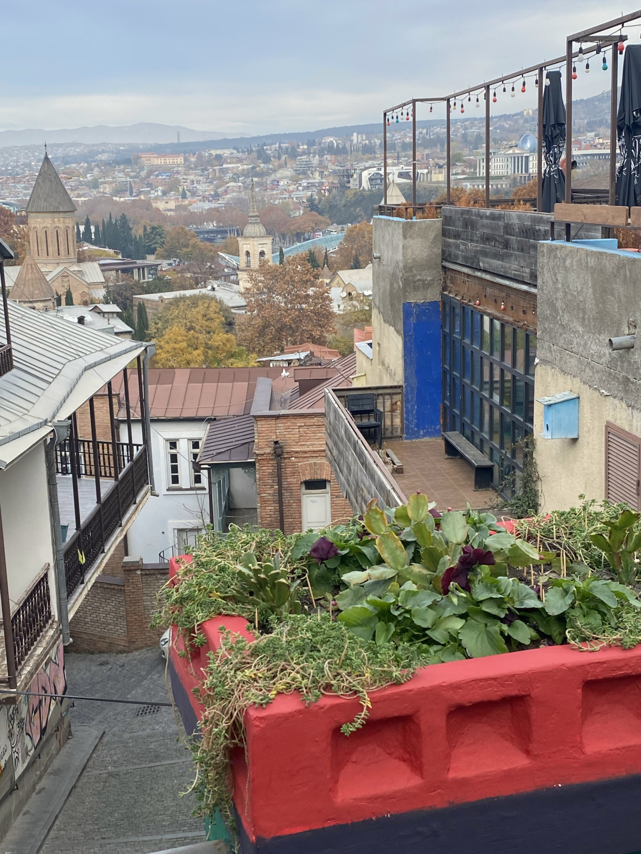 Перезагрузка по-грузински! Лайт. (21/405)