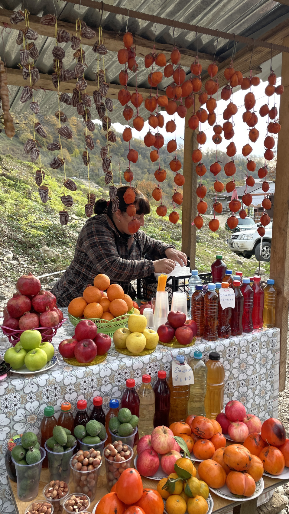 Перезагрузка по-грузински! Лайт. (43/405)