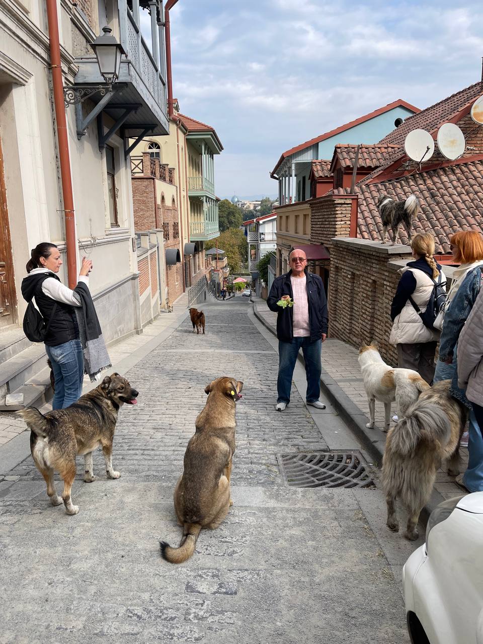 Перезагрузка по-грузински! Лайт. (368/405)