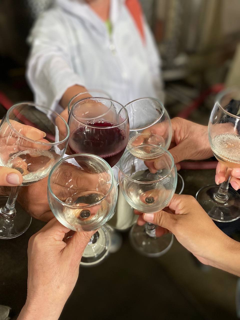 Перезагрузка по-грузински! Лайт. (227/405)