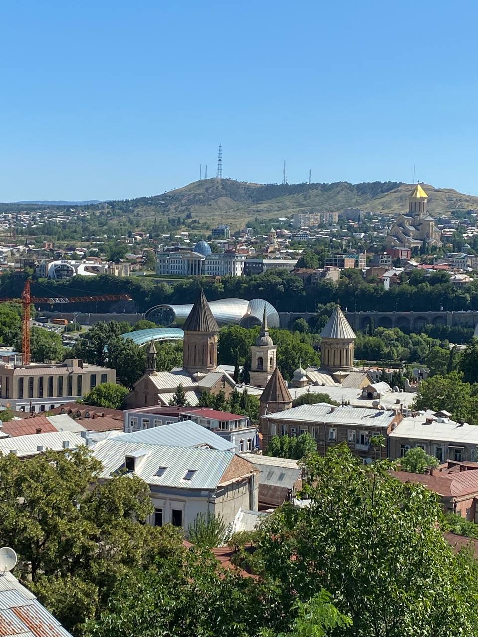 Перезагрузка по-грузински! Лайт. (221/405)