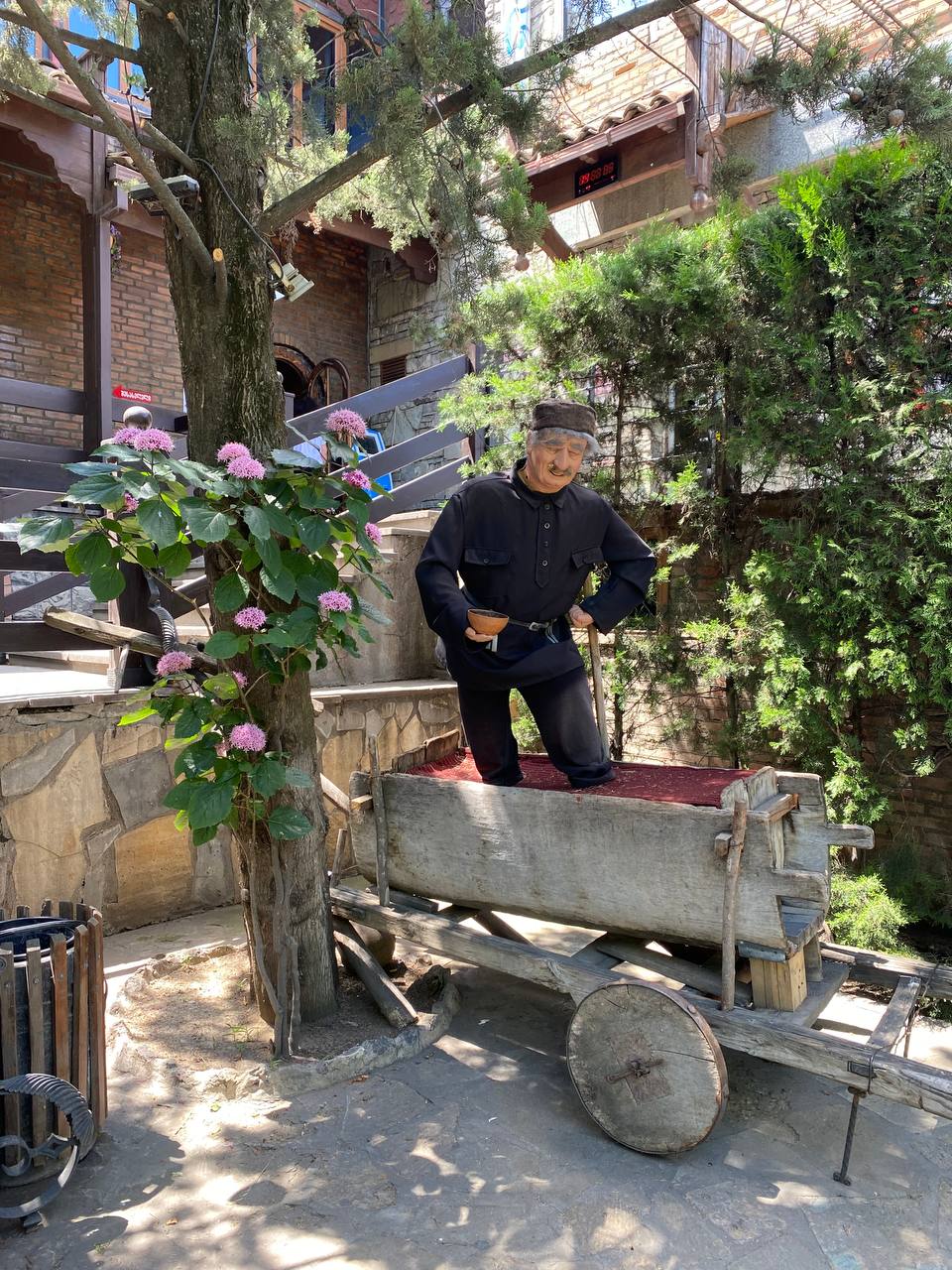 Перезагрузка по-грузински! Лайт. (203/405)