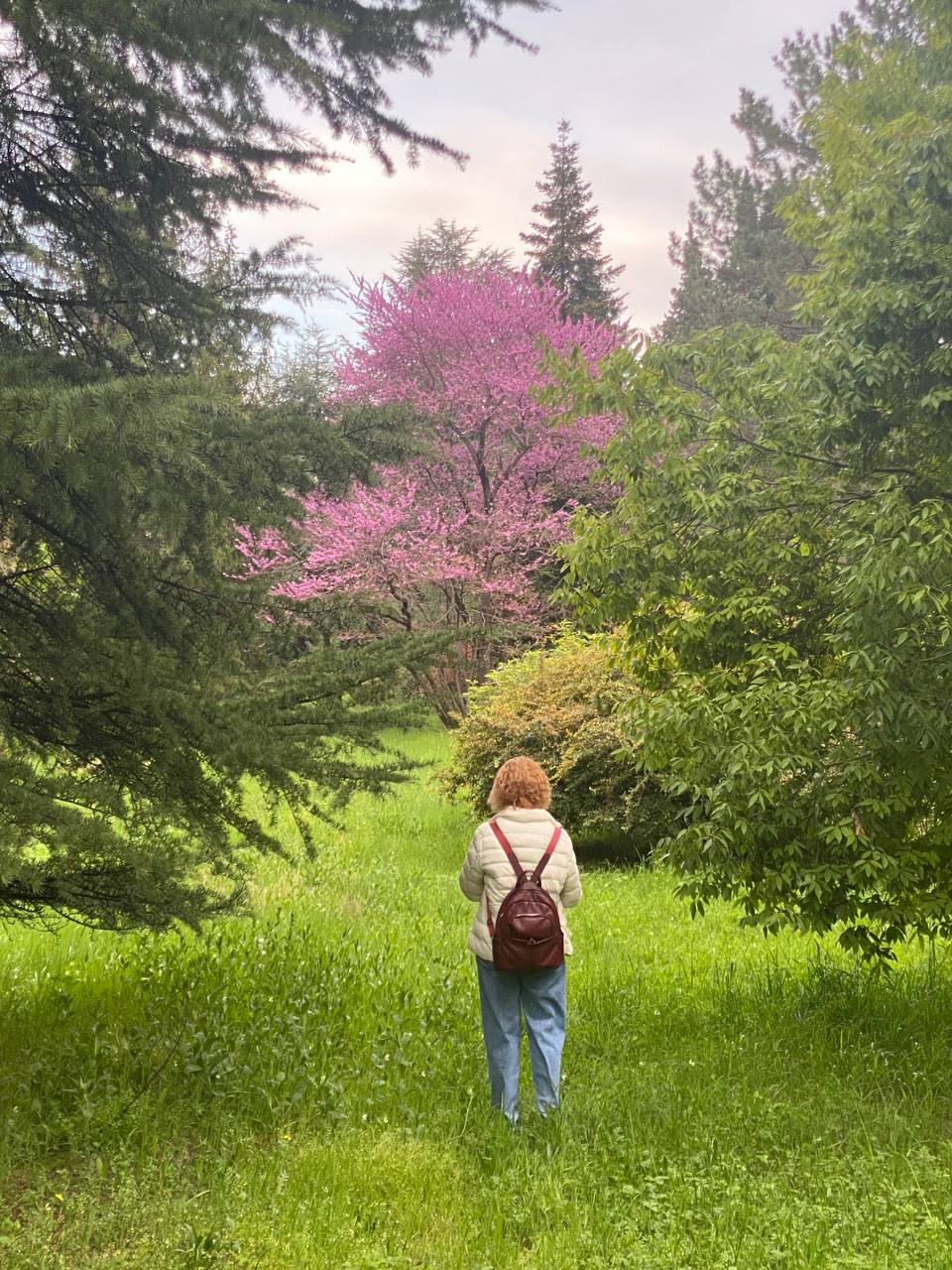 Перезагрузка по-грузински! Лайт. (114/405)