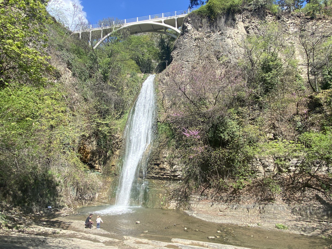 Перезагрузка по-грузински! Лайт. (118/405)