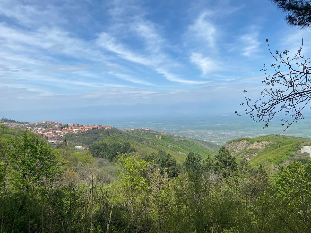 Перезагрузка по-грузински! Лайт. (100/405)