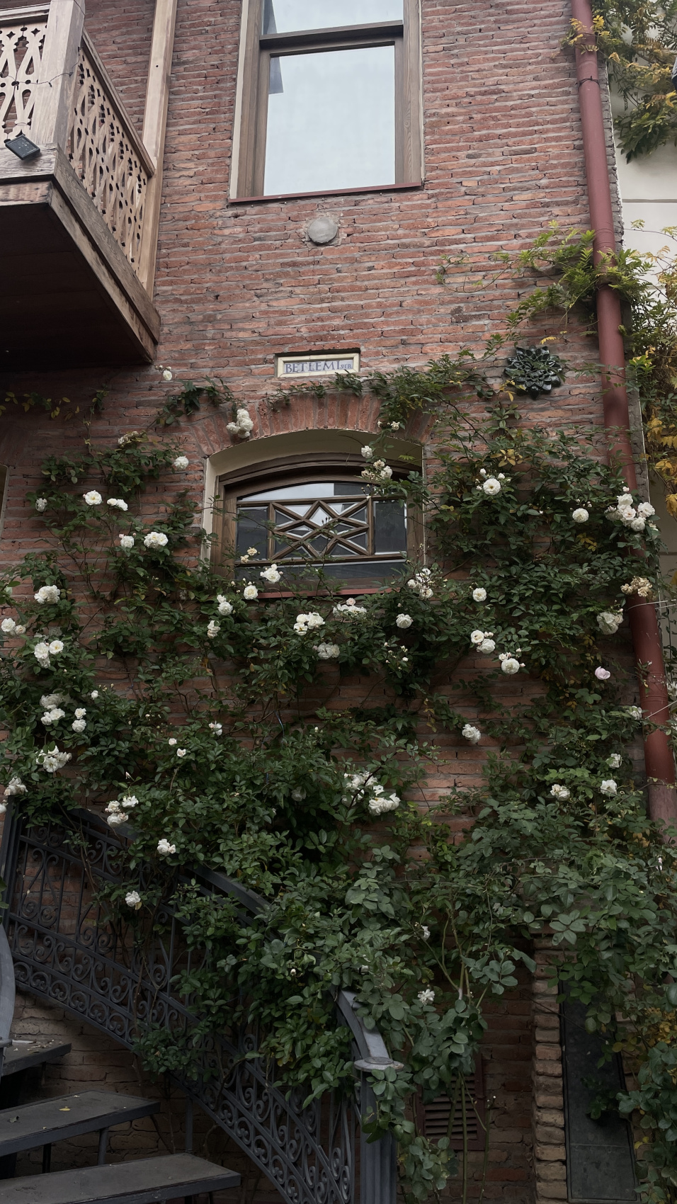 Перезагрузка по-грузински! Лайт. (5/405)