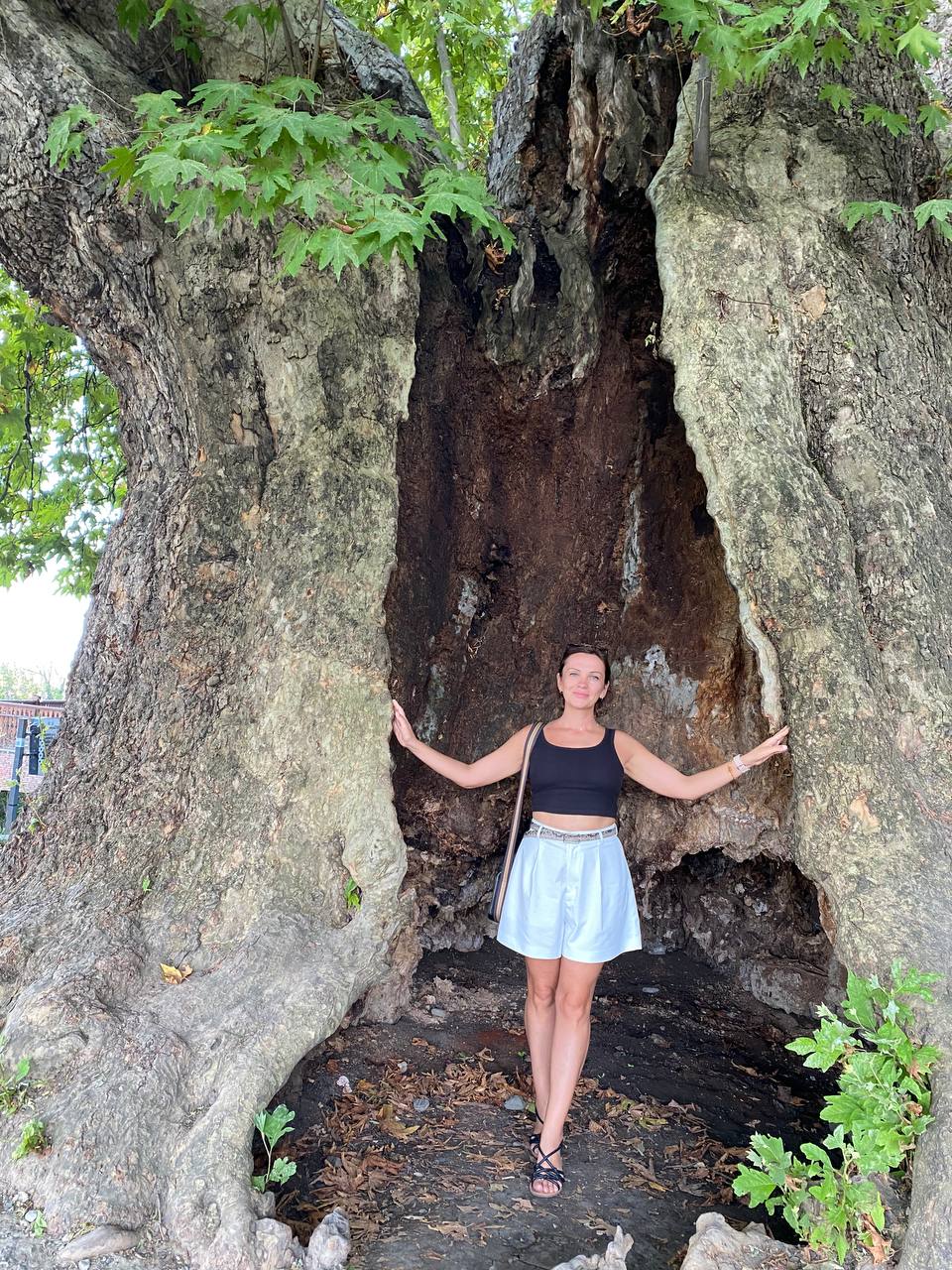 Перезагрузка по-грузински! Лайт. (254/405)