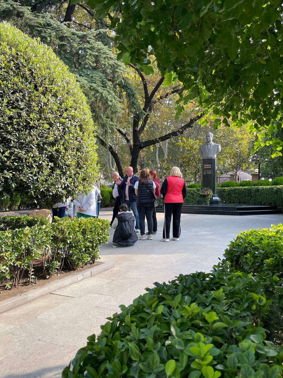 Перезагрузка по-грузински! Лайт. (381/405)