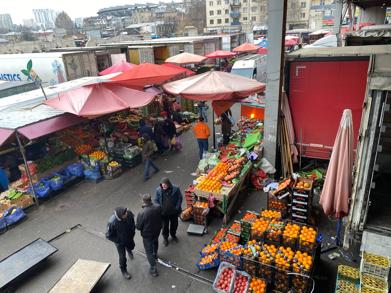 Перезагрузка по-грузински! Лайт. (83/405)