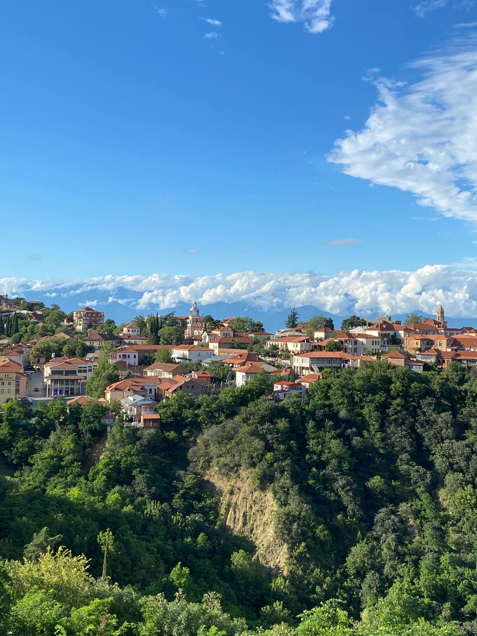 Перезагрузка по-грузински! Лайт. (210/405)