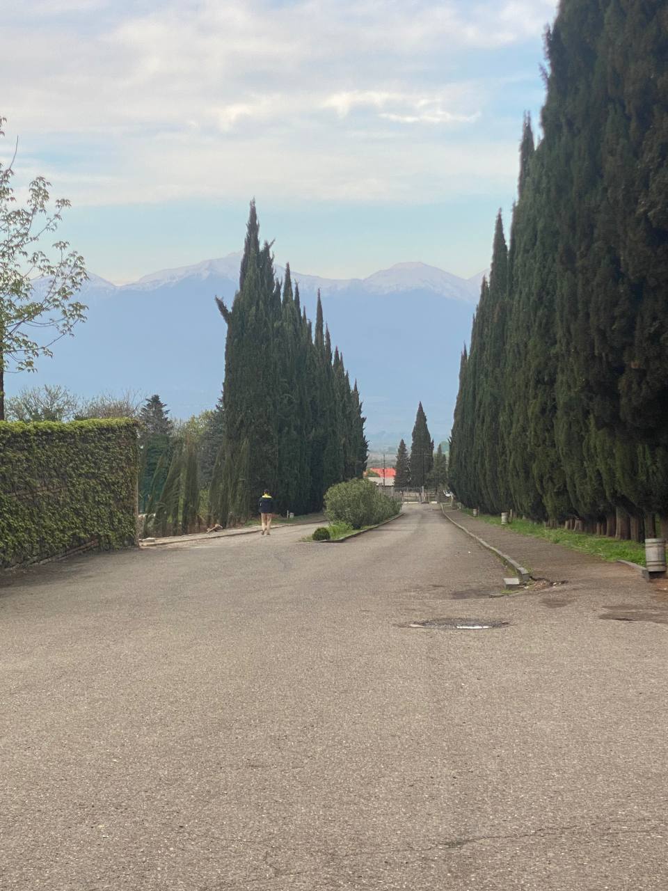 Перезагрузка по-грузински! Лайт. (127/405)