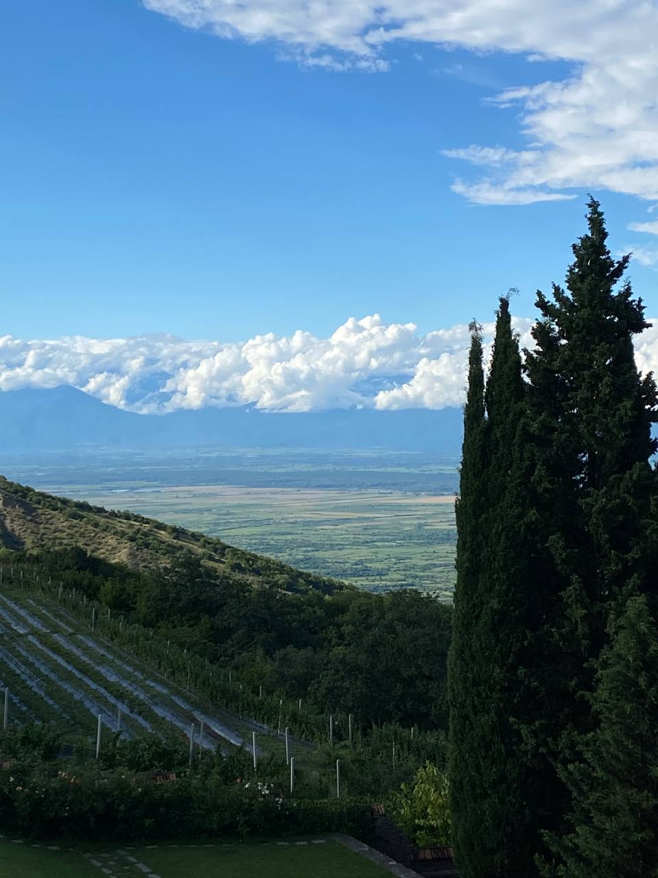 Перезагрузка по-грузински! Лайт. (257/405)