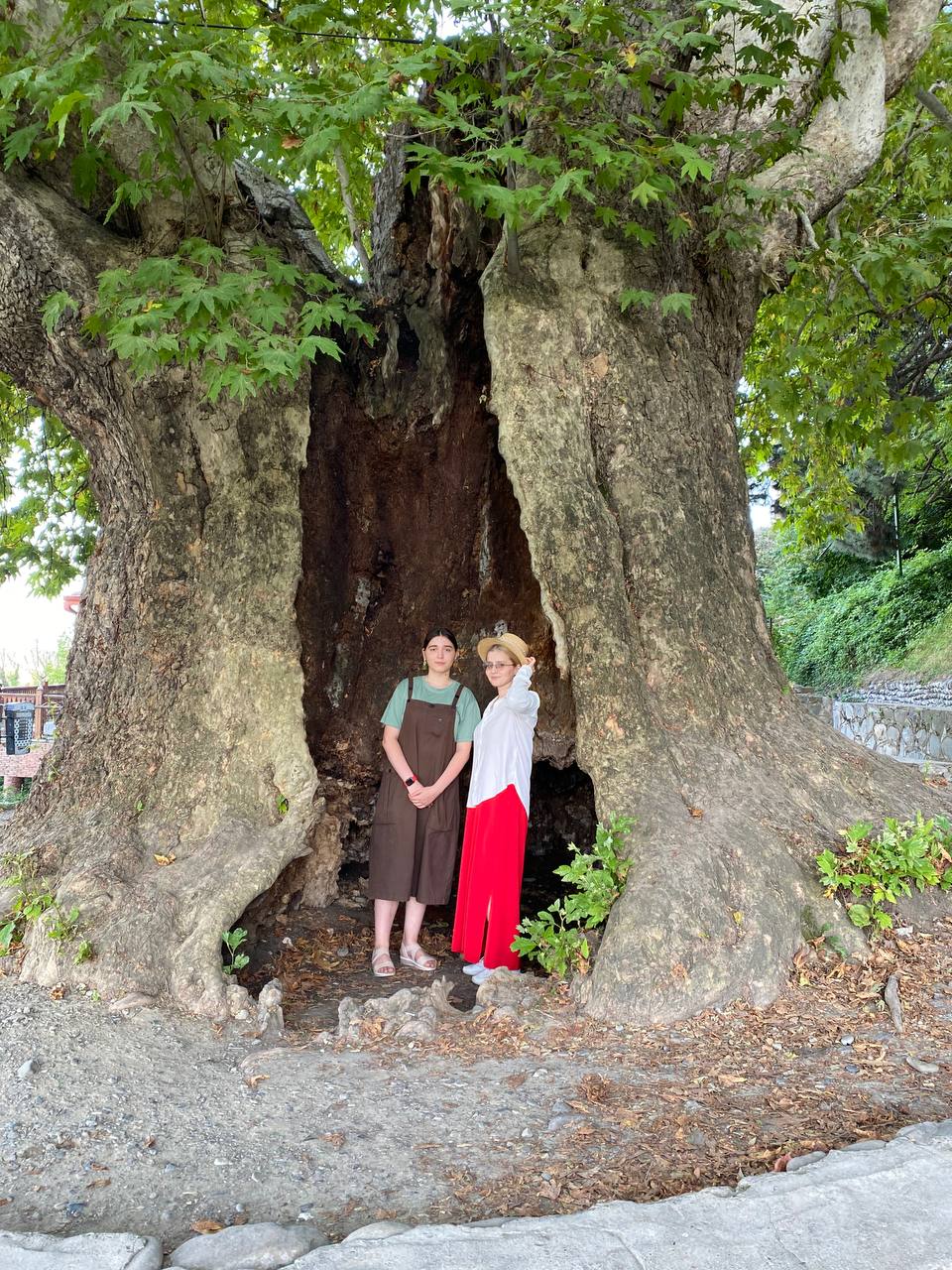 Перезагрузка по-грузински! Лайт. (325/405)