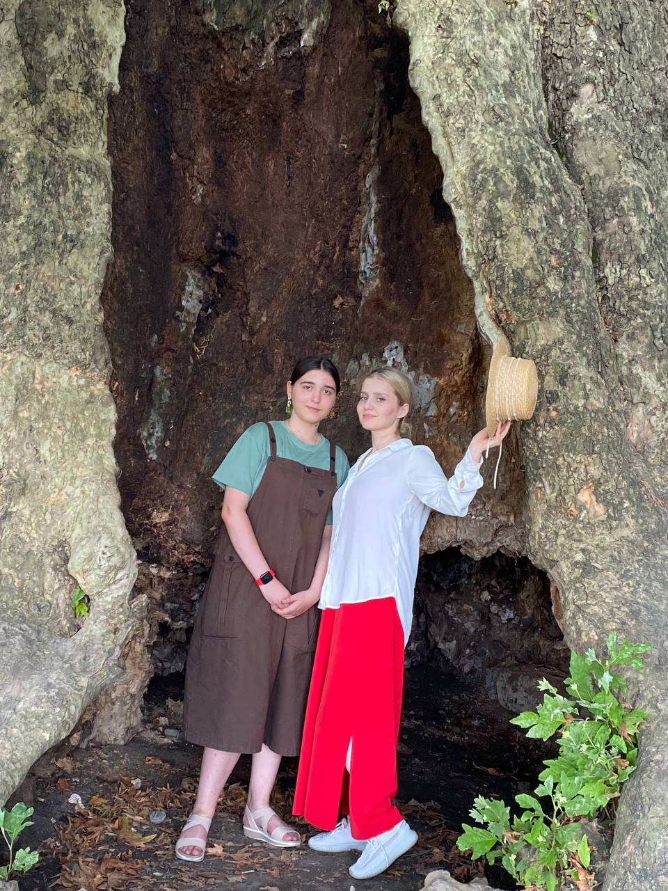 Перезагрузка по-грузински! Лайт. (320/405)