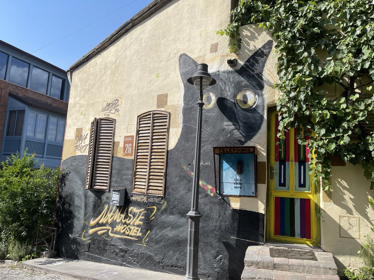 Перезагрузка по-грузински! Лайт. (138/405)